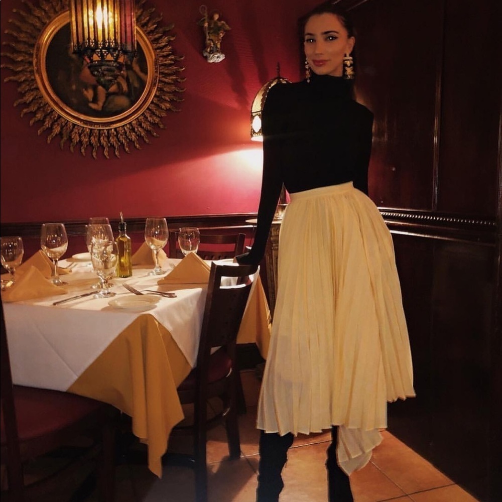 Asymmetrical Pleated Skirt​​​​ - Picture 3 of 8